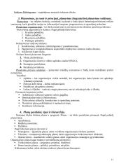 Vadybos teorinio kurso teminis aprašas 11 puslapis