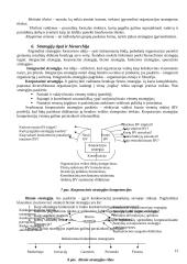 Vadybos teorinio kurso teminis aprašas 13 puslapis