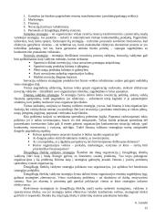 Vadybos teorinio kurso teminis aprašas 15 puslapis