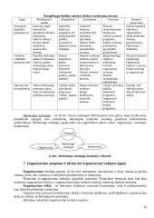 Vadybos teorinio kurso teminis aprašas 16 puslapis