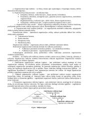 Vadybos teorinio kurso teminis aprašas 17 puslapis