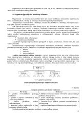 Vadybos teorinio kurso teminis aprašas 19 puslapis