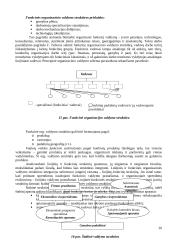 Vadybos teorinio kurso teminis aprašas 20 puslapis