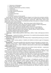 Vadybos teorinio kurso teminis aprašas 3 puslapis