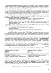 Vadybos teorinio kurso teminis aprašas 4 puslapis