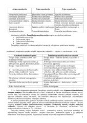 Vadybos teorinio kurso teminis aprašas 5 puslapis