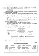 Vadybos teorinio kurso teminis aprašas 6 puslapis