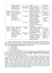 Vadybos teorinio kurso teminis aprašas 7 puslapis