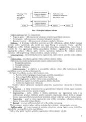 Vadybos teorinio kurso teminis aprašas 9 puslapis