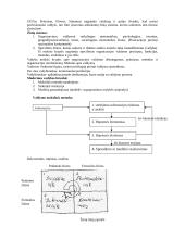 Vadybos atsiradimas ir raida 3 puslapis