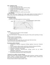 Vadybos atsiradimas ir raida 6 puslapis