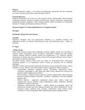 Vadybos atsiradimas ir raida 7 puslapis