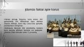 Kariniai konfliktai 5 puslapis