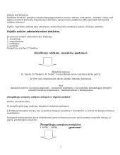 Vadybos mokslo raida (nuo senovės iki dabar) 5 puslapis