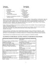 Vadybos mokslo raida (nuo senovės iki dabar) 7 puslapis