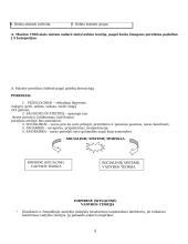 Vadybos mokslo raida (nuo senovės iki dabar) 8 puslapis