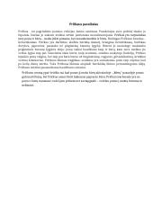 Pričkaus paveikslas (pastraipa)