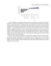 Dirbtiniu intelektu paremti finansiniai fondai 11 puslapis