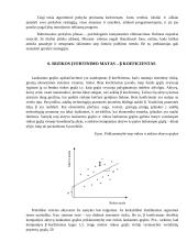 Dirbtiniu intelektu paremti finansiniai fondai 13 puslapis