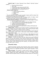 Vadybos principai ir samprata 16 puslapis