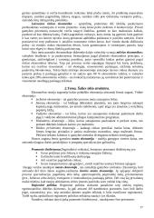 Vadybos principai ir samprata 17 puslapis