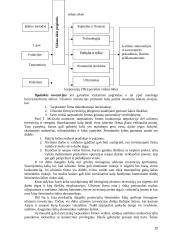 Vadybos principai ir samprata 20 puslapis