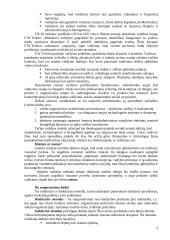 Vadybos principai ir samprata 3 puslapis