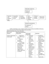 Vadybos samprata. Objektas, subjektas 19 puslapis