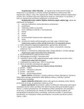 Vadybos samprata. Objektas, subjektas 3 puslapis