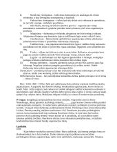 Vadybos samprata. Objektas, subjektas 7 puslapis