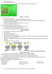 Biologija (konspektas) 2 puslapis