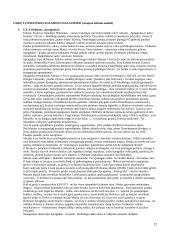 Vaikų literatūros egzamino klausimai 12 puslapis