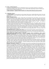 Vaikų literatūros egzamino klausimai 17 puslapis