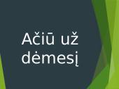 Maironio biografija ir asmenybė 11 puslapis