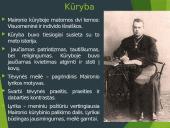 Maironio biografija ir asmenybė 8 puslapis