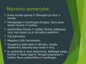 Maironio biografija ir asmenybė 9 puslapis