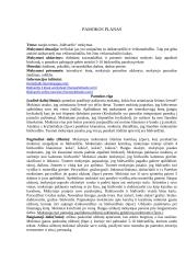 Pamokos planas tema: naujos temos „būdvardis“ mokymas