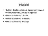 Leksikos klaidos (skaidrės) 11 puslapis