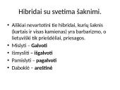 Leksikos klaidos (skaidrės) 12 puslapis