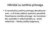 Leksikos klaidos (skaidrės) 13 puslapis