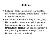 Leksikos klaidos (skaidrės) 6 puslapis