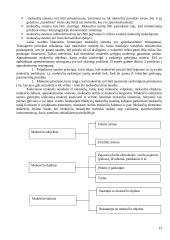 Valstybės finansų struktūra 12 puslapis