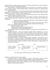 Valstybės finansų struktūra 14 puslapis