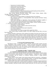 Valstybės finansų struktūra 16 puslapis