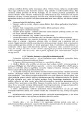 Valstybės finansų struktūra 17 puslapis