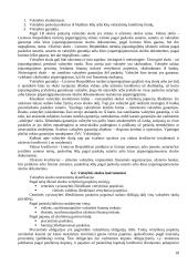 Valstybės finansų struktūra 18 puslapis