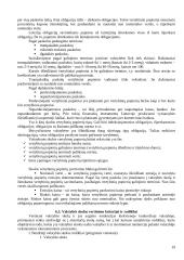 Valstybės finansų struktūra 19 puslapis