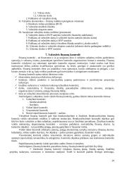 Valstybės finansų struktūra 20 puslapis