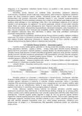 Valstybės finansų struktūra 4 puslapis