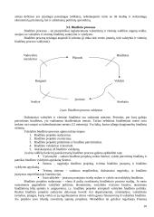 Valstybės finansų struktūra 10 puslapis